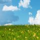 Eine Blumenwiese, darüber Himmel mit Wolken - Hintergrundbild des Sliders der Seite Texter-Blog