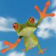 Ein "Flyer" - Ein fliegender Frosch